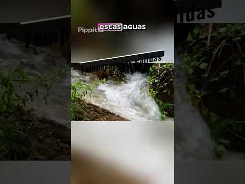 ¡Relajación y naturaleza te esperan en las Termas de Guaviyú Paysandú!