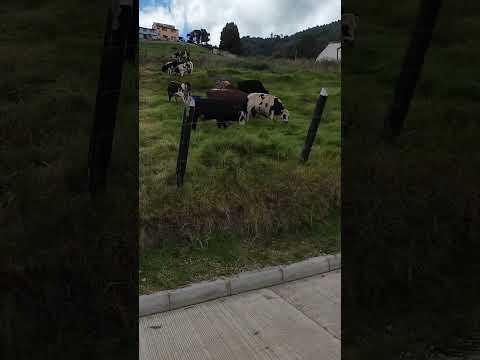 Parte 4 - Rumbo a Gachancipá Cundinamarca