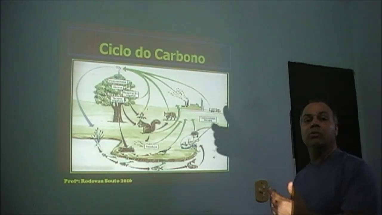 Problemas Ambientais, efeito estufa, inversão térmica, camada de ozônio e chuva ácida