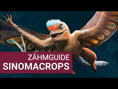 SINOMACROPS - Wie zähmt man eigentlich..? | ARK: Survival Evolved