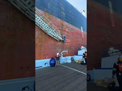 Massive VLCC tanker ship in the Gulf of Mexico #ship #vessel #merchantmarine