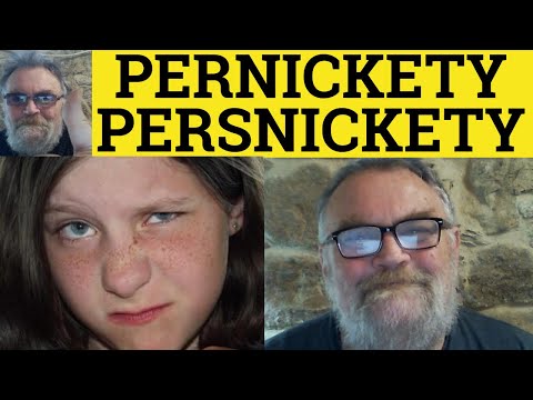🔵 Pernickety Meaning - Persnickety Examples - Persnickety Defined - Pernickety Explained - C2 Vocab