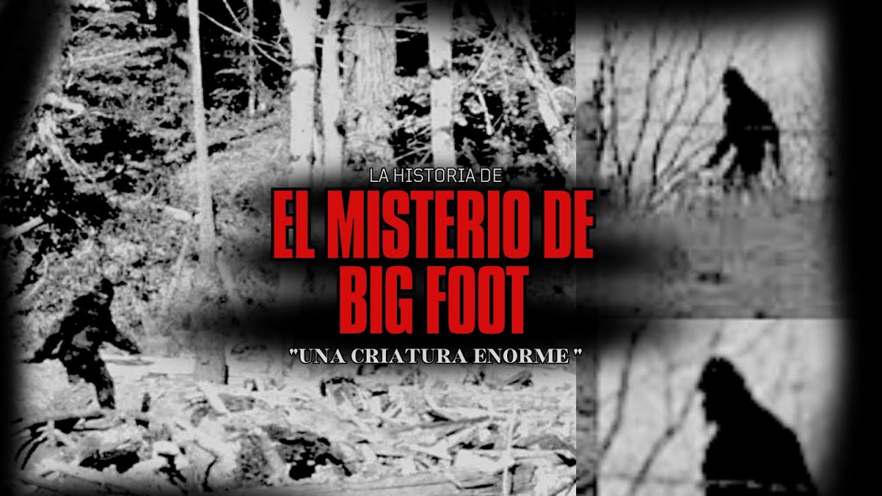 El misterio de Big Foot "Pie Grande" | Fragmentos de la Noche