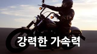 2018 스트리트 밥(Street Bob®)