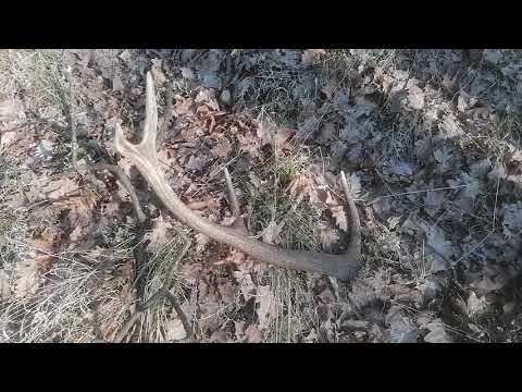 Zobaczcie jak farciarz znalazł zrzuta.