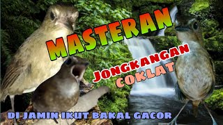 Download lagu Jongkangan Anda Males Bunyi Coba Masterin Pake Mp3 Ini Di Jamin Bakal Ikut Gacor(cingcoang) mp3