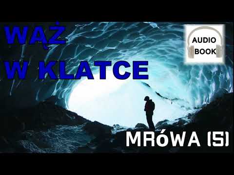 Snake in a Cage - audiobook pl, fantasy