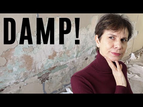 🇫🇷 Our Hallway Renovation Comes Unstuck!