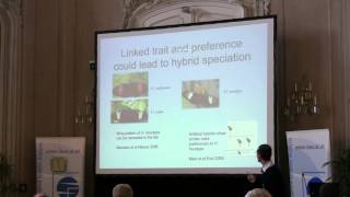 Speciation 2010: Chris Jiggins - Routes to hybrid speciation in Heliconius butterflies video