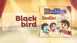 Blackbird Music Video