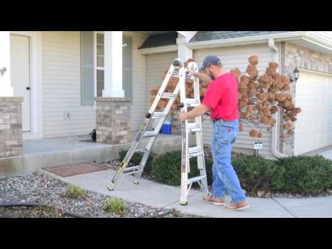Gorilla Ladders