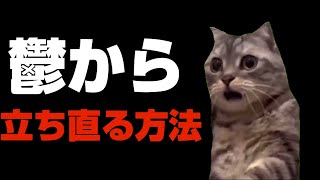 【猫ミーム】鬱からの復帰方法！？それは温泉と・・・！葬儀社にアルバイトとして勤めていたお話その53