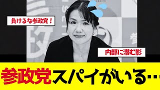 【参政党】豊田真由子と梅村みずほの内部トラブルがなぜか週刊誌に漏洩…党内にスパイがいる？【ゆっくり解説】