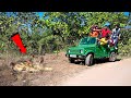 Meeting Real King Of Jungle आज तो असली शेर से सामना हो ग�