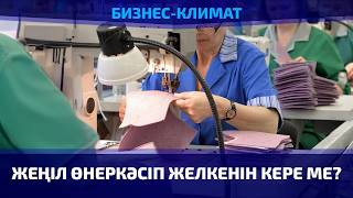 Жеңіл өнеркәсіпті дамытудың кешенді бағдарламасы әзірленеді