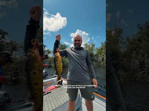 O maior arquipélago fluvial do mundo tá localizado no Amazonas.