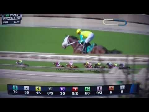 ZUMA BEACH (G STAKES)$100,000 2017 - MY BOY JACK !!