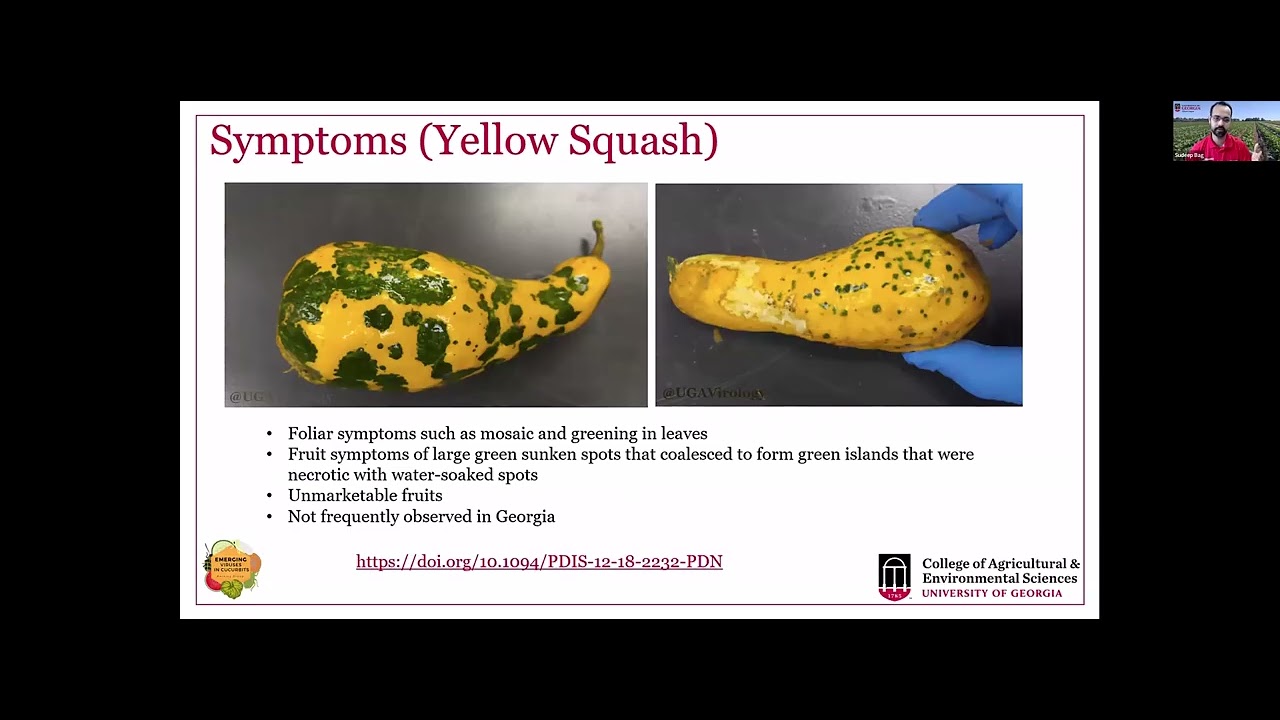 Tobacco Streak Virus (TSV), EVCWG 2026
