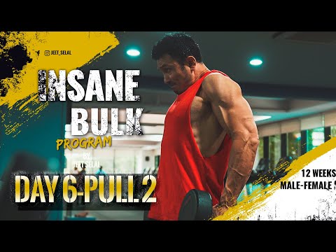 INSANE BULK "DAY 6- PULL- 2"- 12 weeks Muscle Building Program [FREE] Designed By Jeet Selal