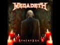 Megadeth-13 (TH1RT3EN) 