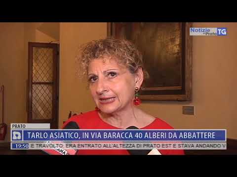 2019-07-24 NOTIZIE DI PRATO TG ORE 19.45