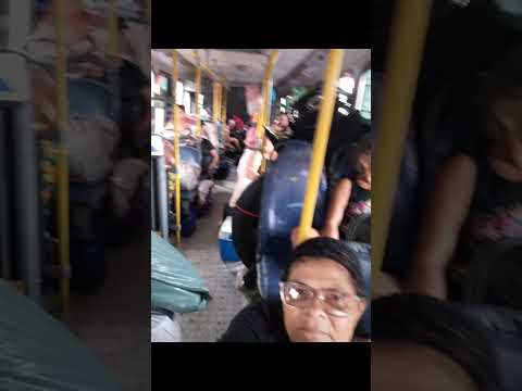 🚌 Romaria28012026 cidade Teotônio Vilela Alagoas todos os anos com a Romaria da mãe das Candeias