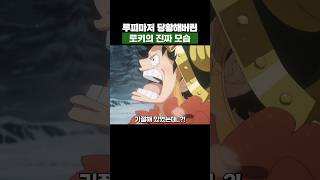 최신화) 루피마저 당황해버린 로키의 진짜 모습 #원피스