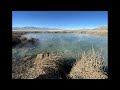 Wide Open NV Sky