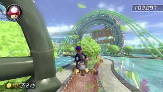 MK8DX WP 150cc 1:41.039 (former WR)