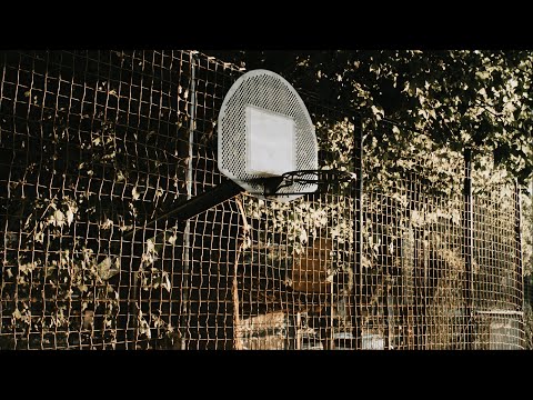 ReleaseSchau 11/22 (mit DIGIT MOB, DJ Stylewarz, Vandalismus, Alphonzo uvm.)