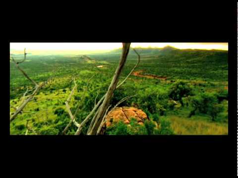 Unterwegs im Süden Afrikas