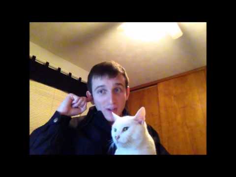 Cat Eats Earwax...
