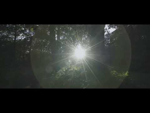 BICEP  GLUE Official Video