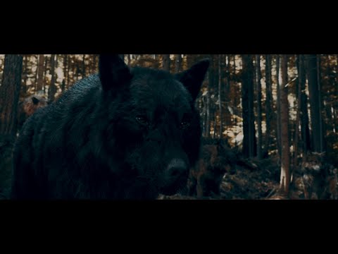 Twilight Wolves - Heathens