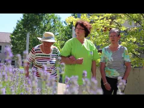 Alten- und Pflegeheim Mein Blick in Zell am Main