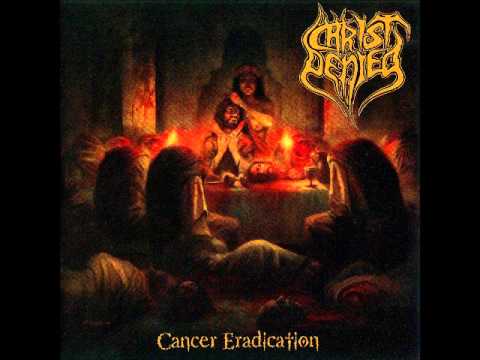 Christ Denied - Beheading The Abomination
