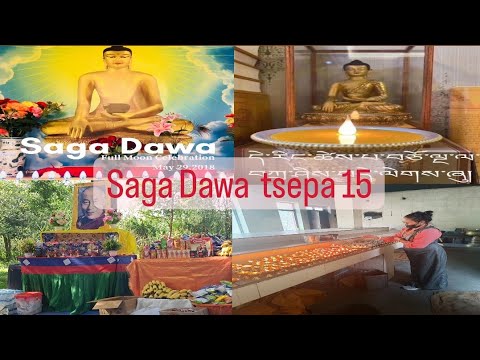 SAGA DAWA TSEPA 15🙏#tibetanyoutuber #subscribetomychannel #dailyvlog