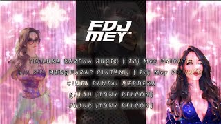Download lagu Terluka Karena Cinta Techno Fengtau Nonstop 2023 Fdj Mey™️ (Free Download) mp3