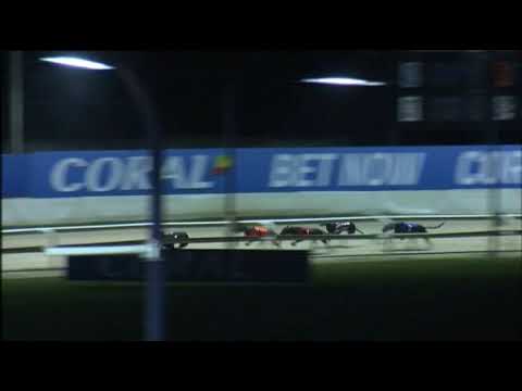 ROMFORD PUPPY CUP - HEAT 4 - T4 PRIZE FIGHTER