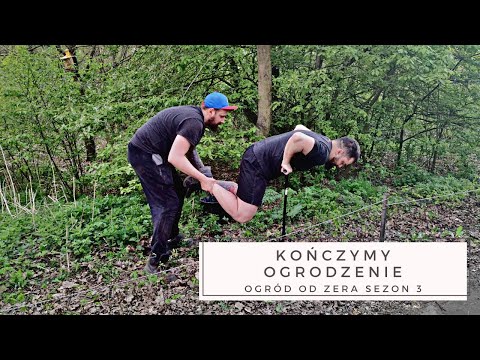 Kończymy ogrodzenie i stawiamy kolejne płotki [Ogród od zera s03]
