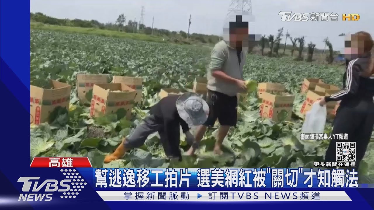 熱心過頭!越籍選美網紅幫移工拍片 結果竟是「非法」的