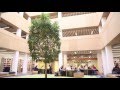 Library Virtual Tour