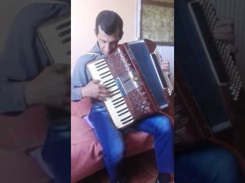 Métele plomo tapecito- los majestuosos del chamamé