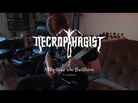 Necrophagist - Mutilate the Stillborn (cover)