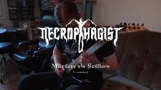 Necrophagist - Mutilate the Stillborn (cover)