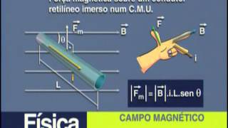 B 09 - Campo Magnético e Dinâmica de uma Partícula - Física - Vestibulando Digital