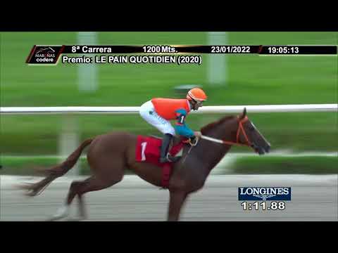 220123 c08 QUIET D´OR