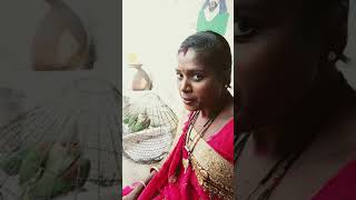 panjuri bhitare sari