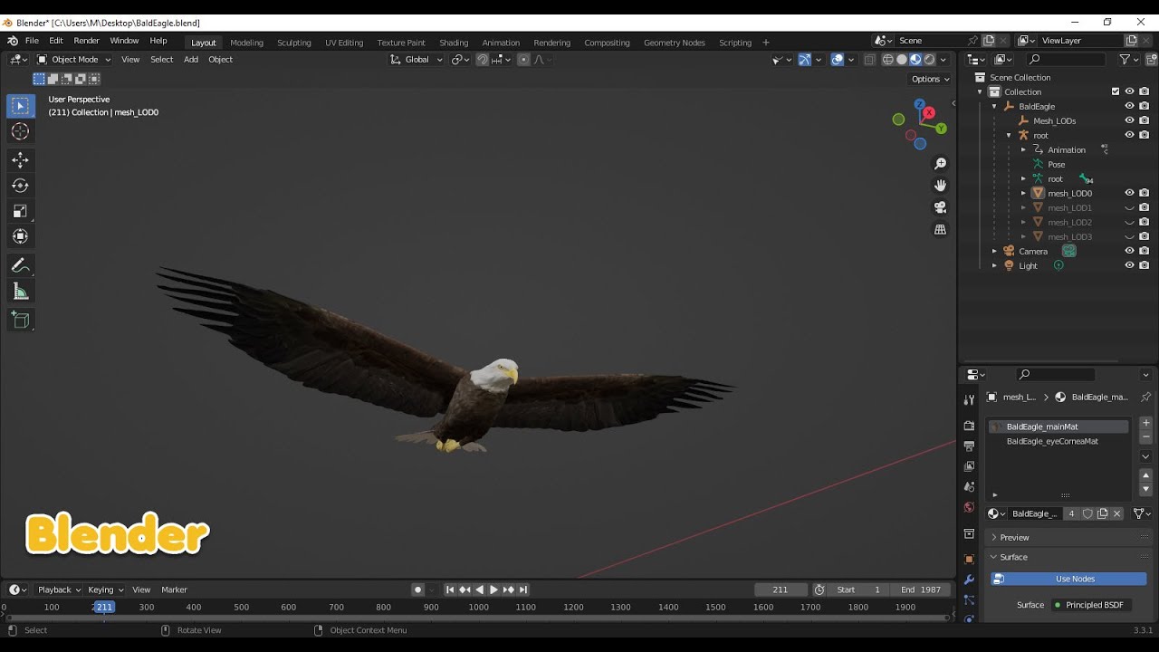 &Aacute;guia careca animada realista Modelo 3D