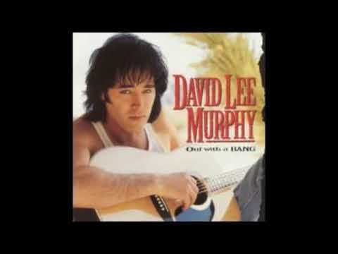 DAVID LEE MURPHY - PARTY CROWD